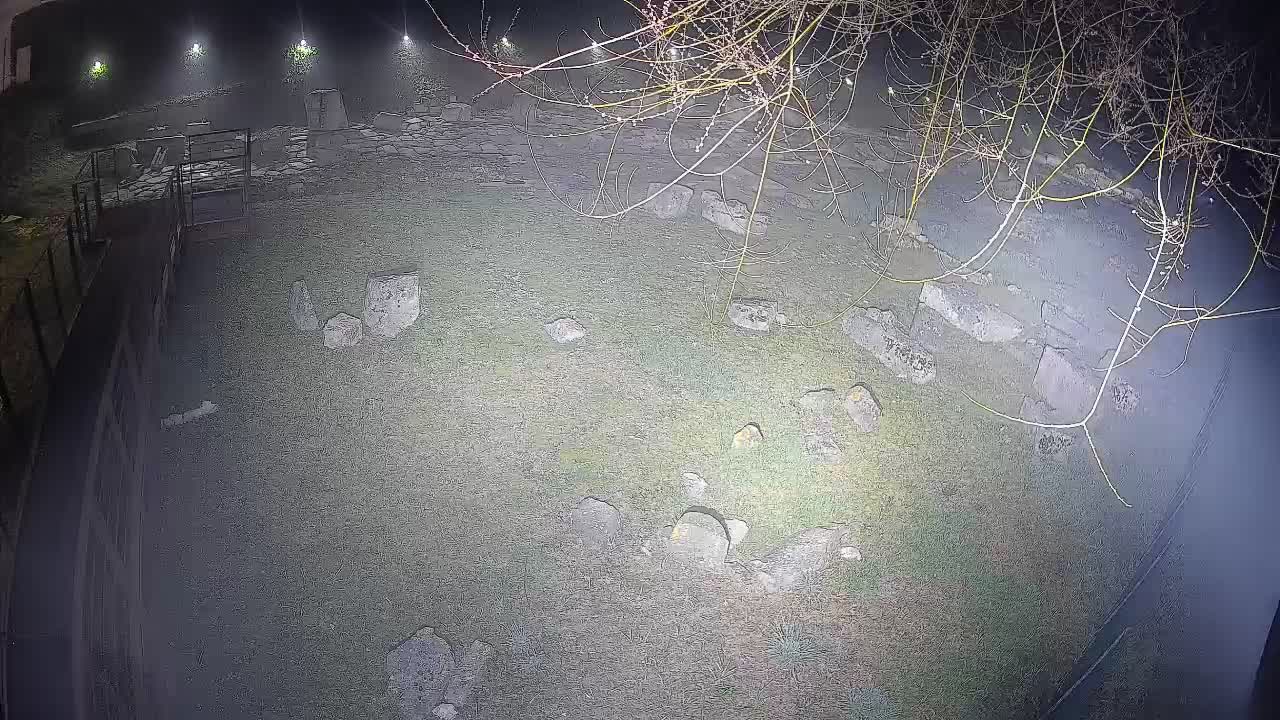 Aquileia – Decumano di Aratria Galla