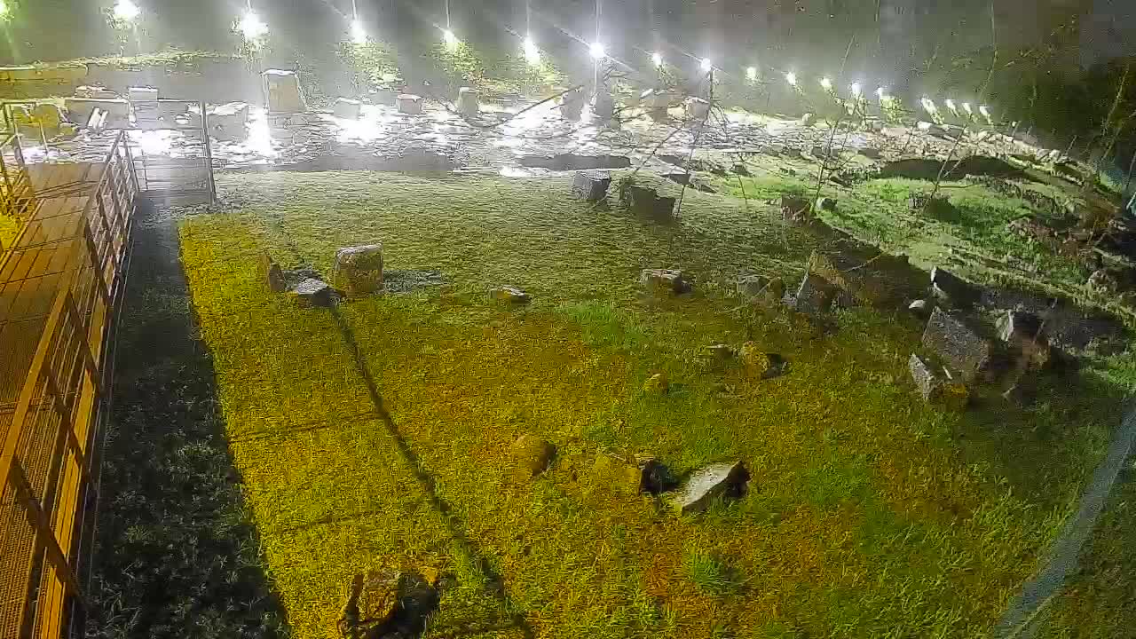 Akvileja – Decumano di Aratria Galla