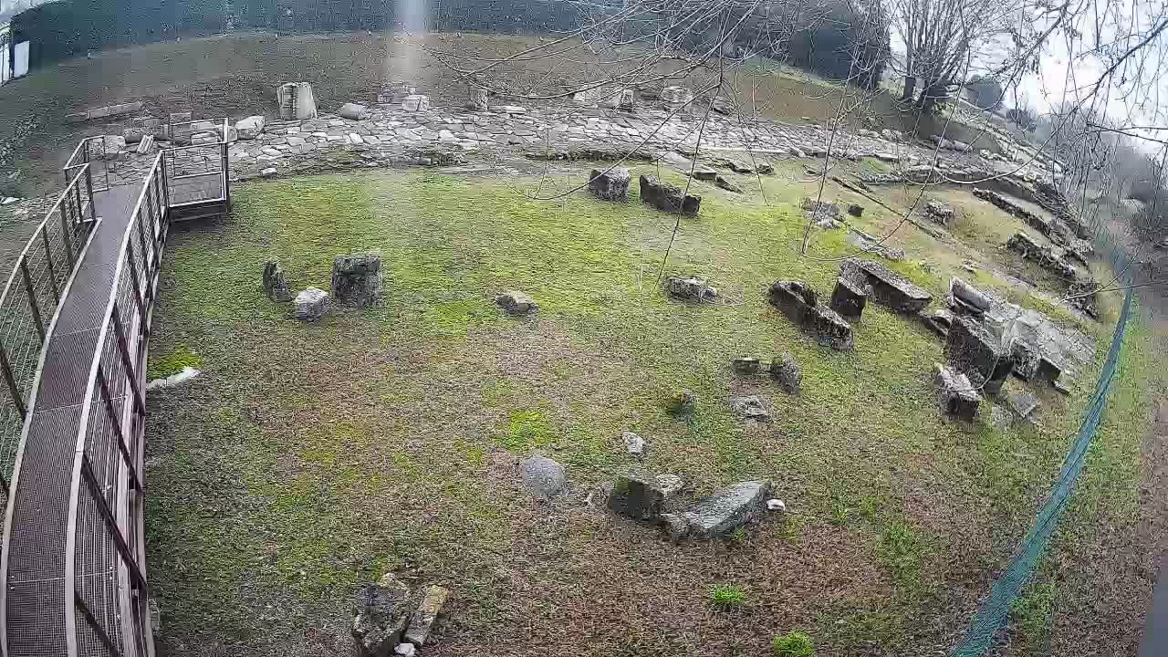 Akvileja – Decumano di Aratria Galla