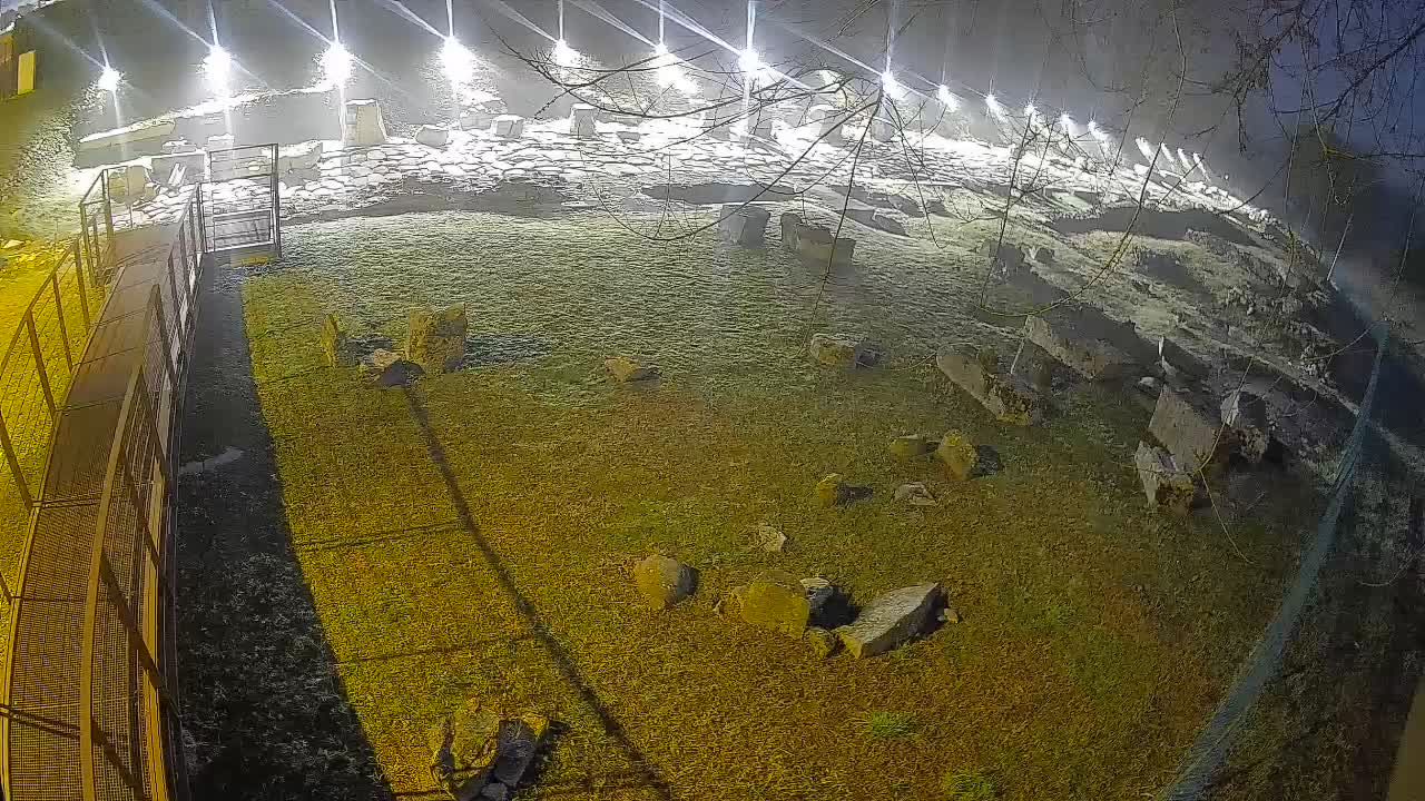 Aquileia – Decumano di Aratria Galla