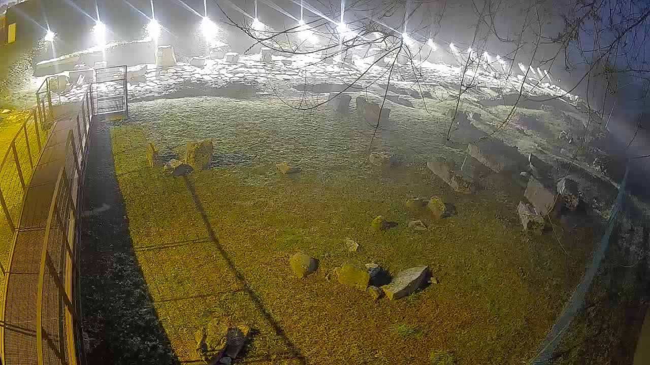 Aquileia – Decumano di Aratria Galla