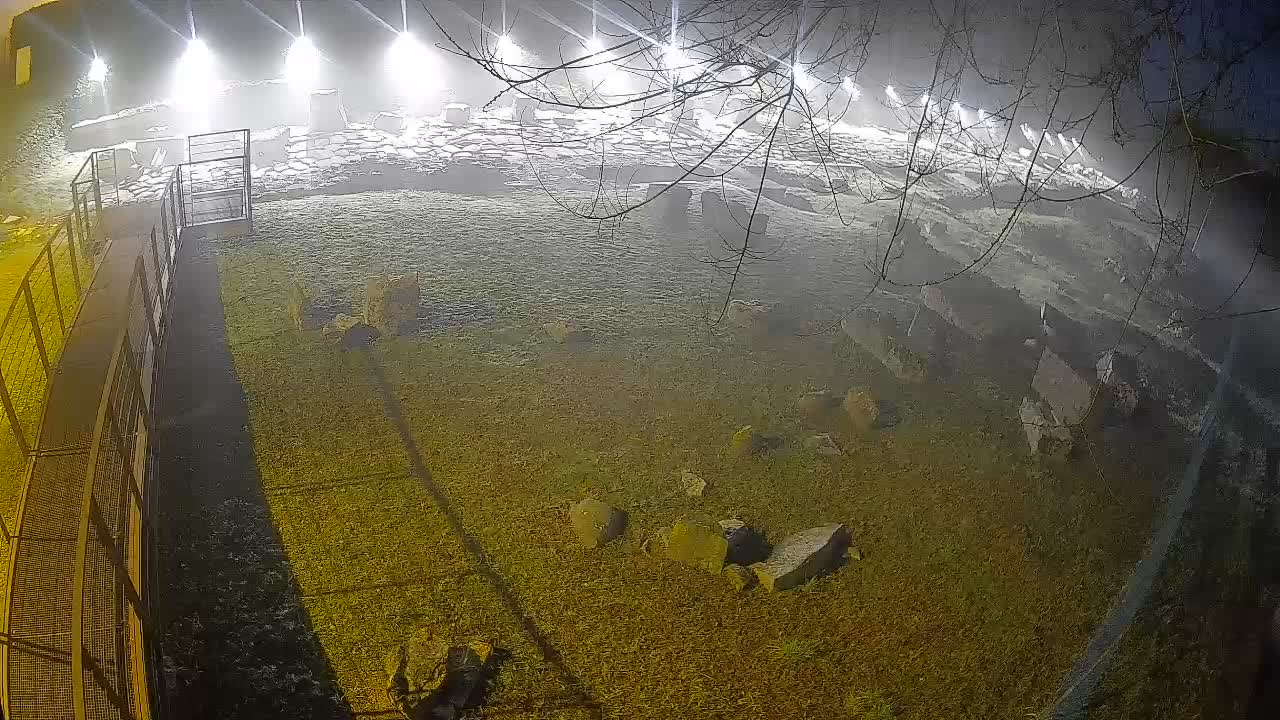 Aquileia – Decumano di Aratria Galla