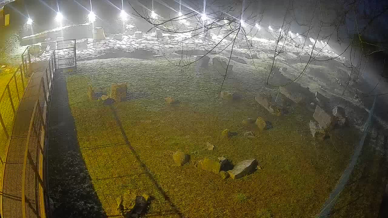 Aquileia – Decumano di Aratria Galla