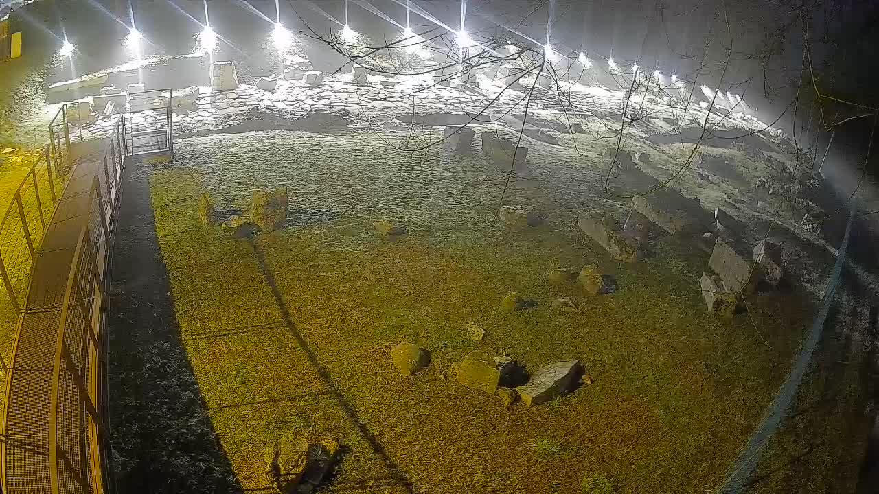 Aquileia – Decumano di Aratria Galla