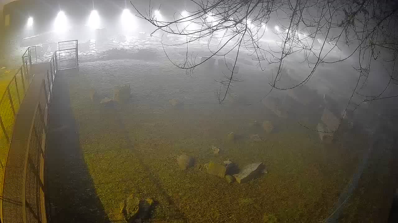 Aquileia – Decumano di Aratria Galla