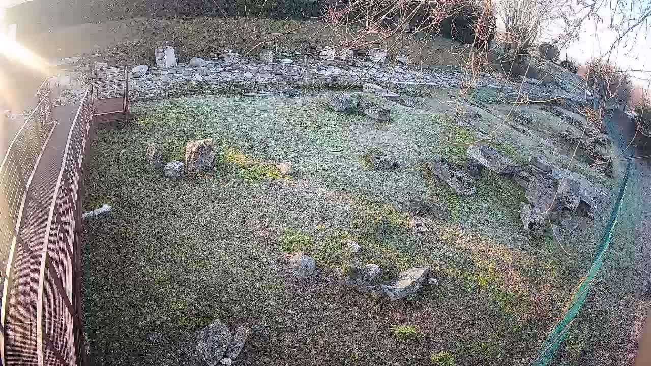 Oglej – Decumano Aratria Galla