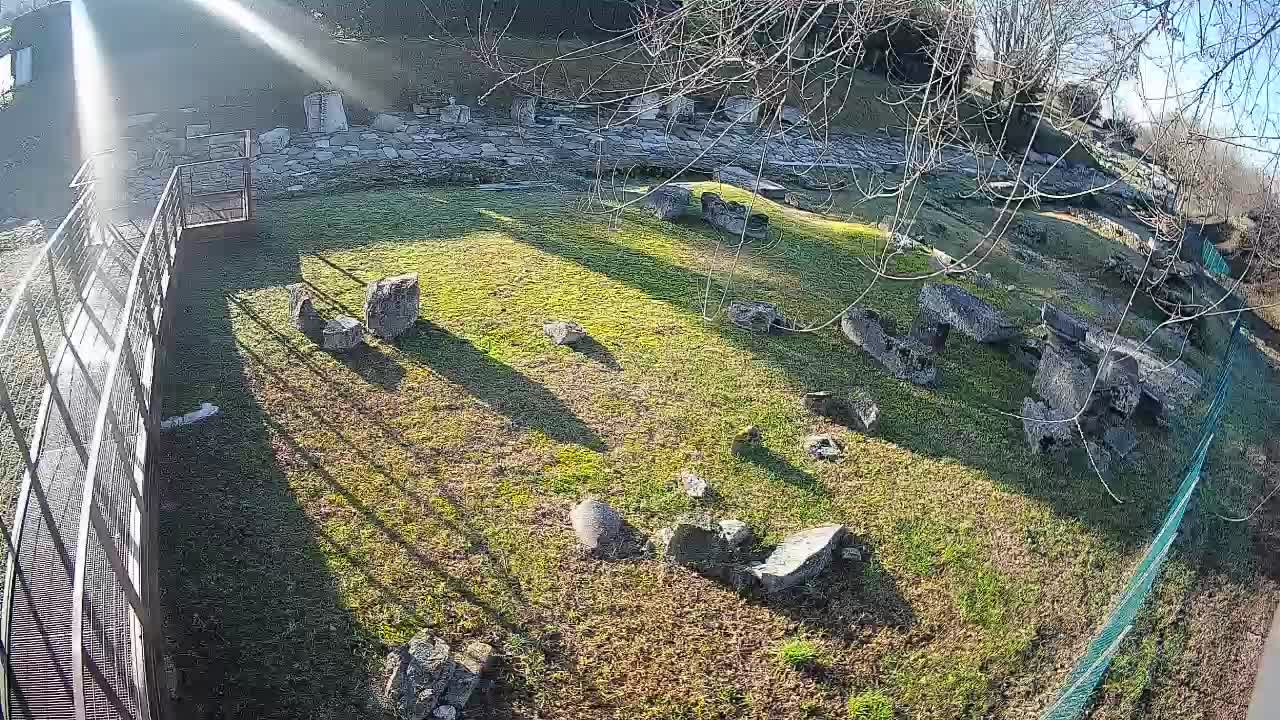 Aquileia – Decumano di Aratria Galla