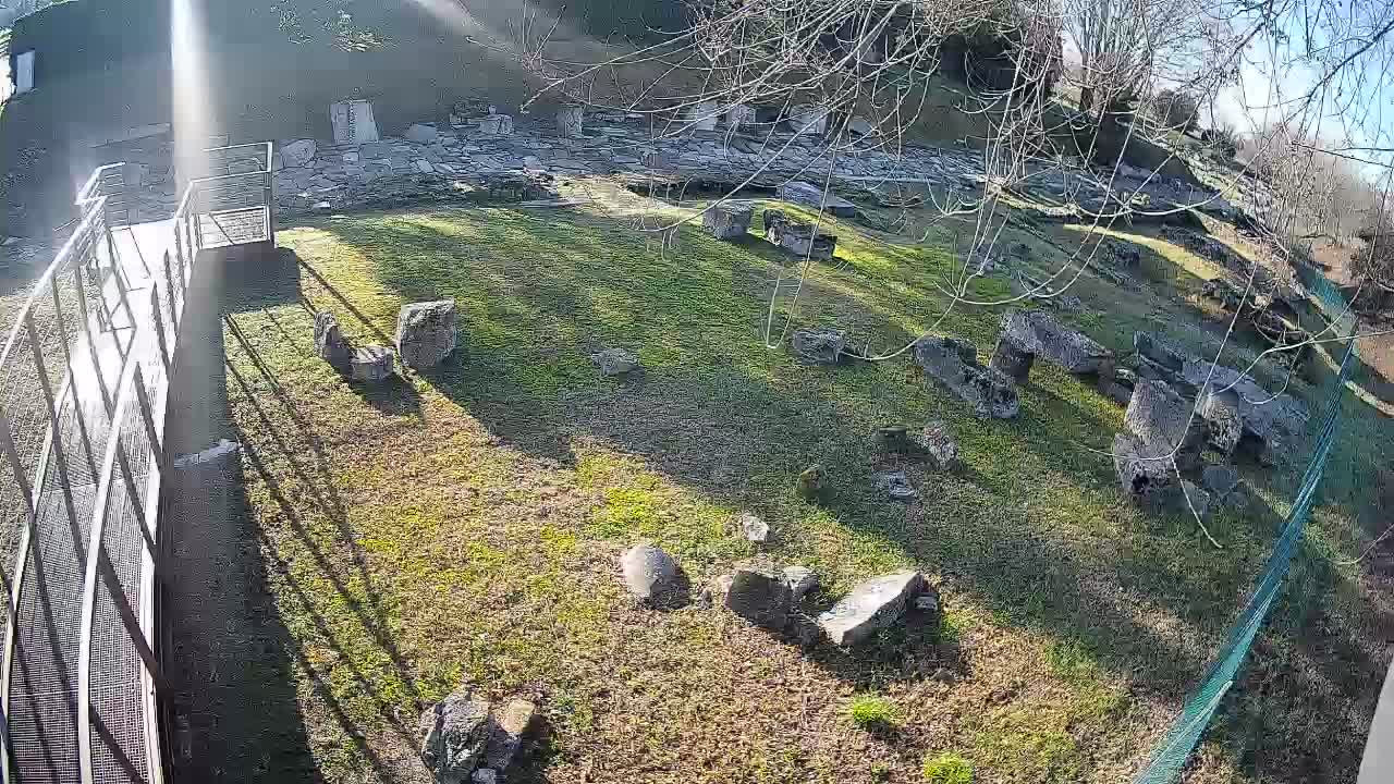 Oglej – Decumano Aratria Galla