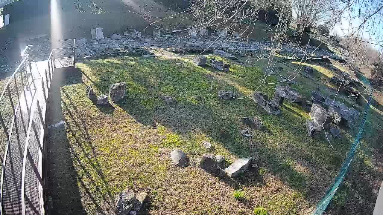 Aquileia – Decumano di Aratria Galla