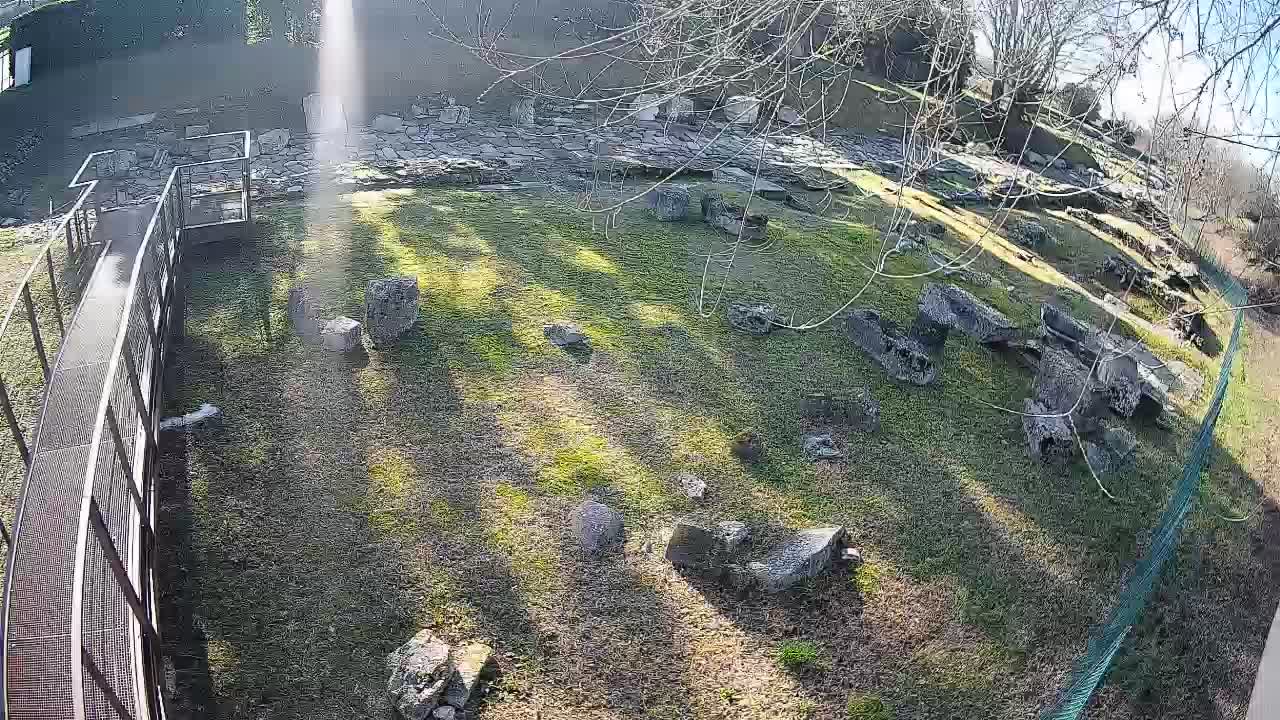 Aquileia – Decumano di Aratria Galla