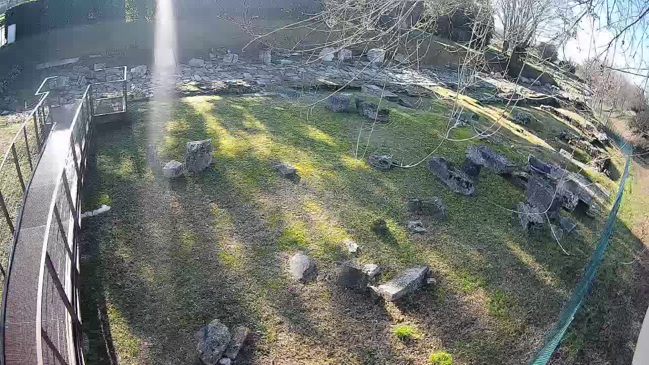 Aquileia – Decumano di Aratria Galla