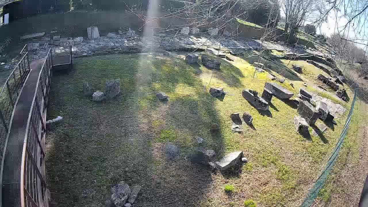 Aquileia – Decumano di Aratria Galla