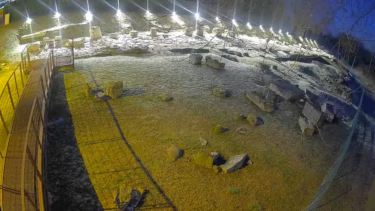 Aquileia – Decumano di Aratria Galla