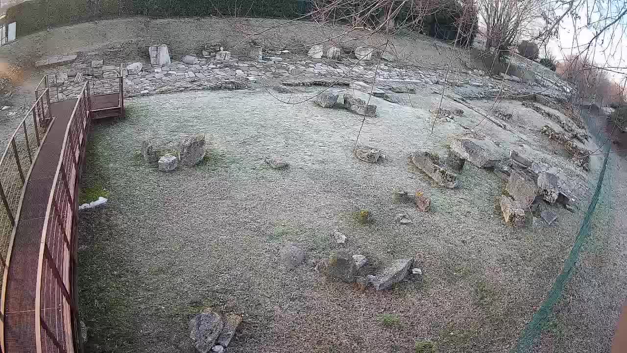 Aquileia – Decumano di Aratria Galla