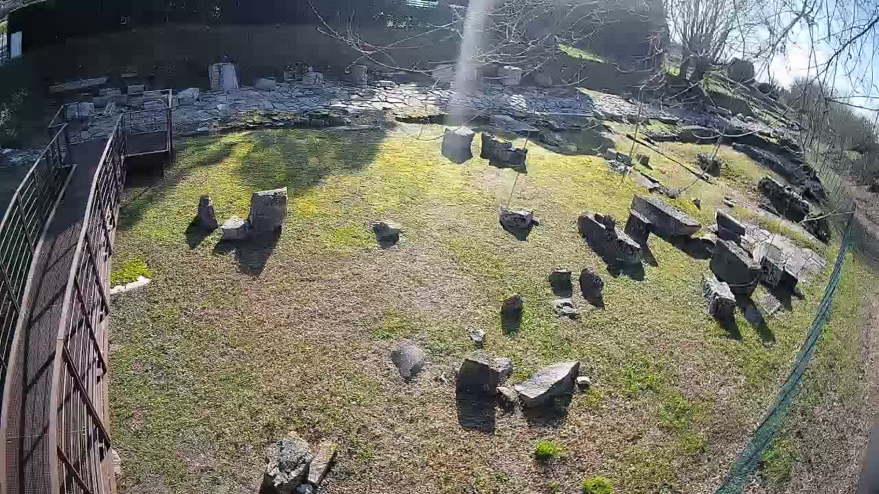 Aquileia – Decumano di Aratria Galla