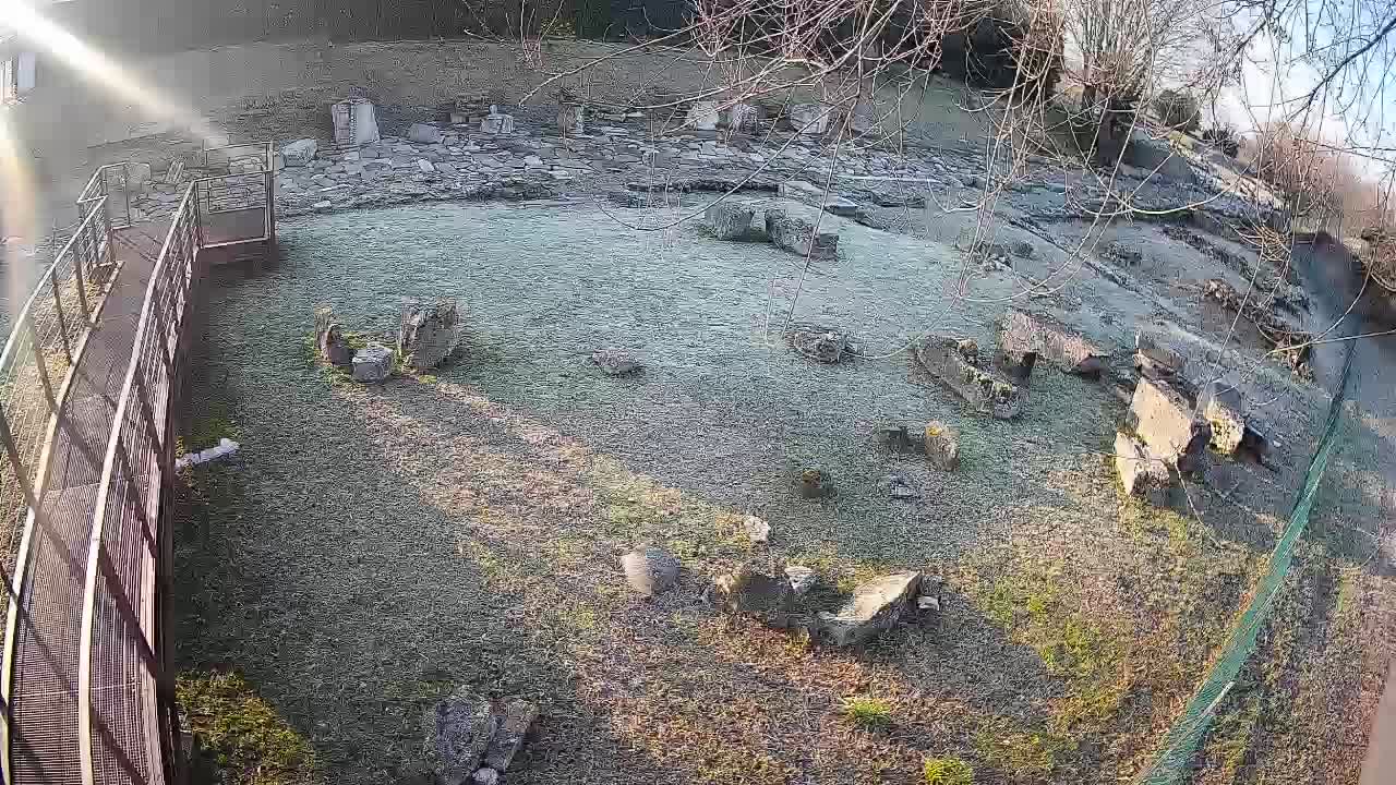 Oglej – Decumano Aratria Galla