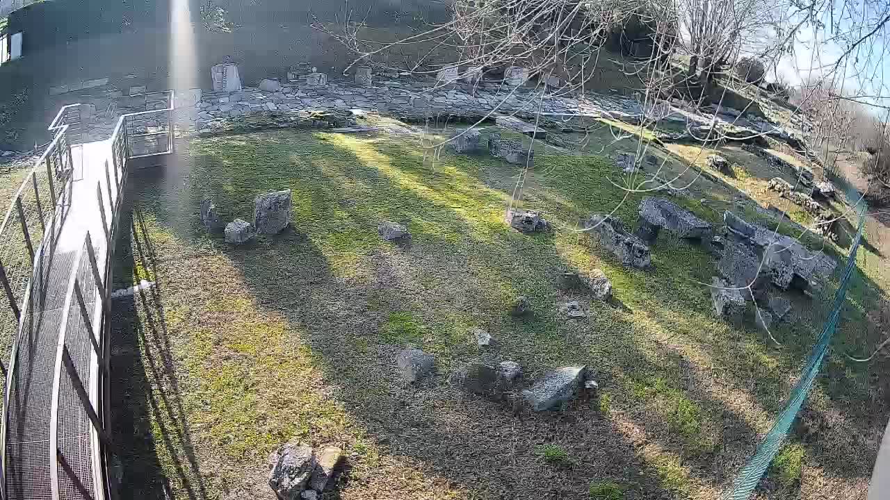 Akvileja – Decumano di Aratria Galla