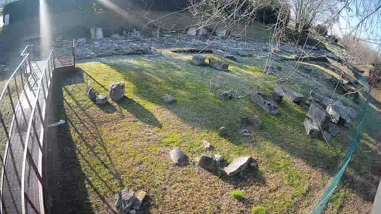 Akvileja – Decumano di Aratria Galla