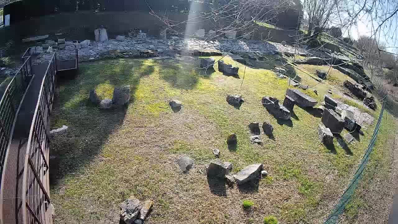 Akvileja – Decumano di Aratria Galla