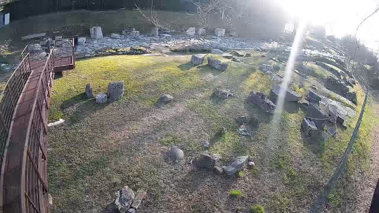 Aquileia – Decumano di Aratria Galla