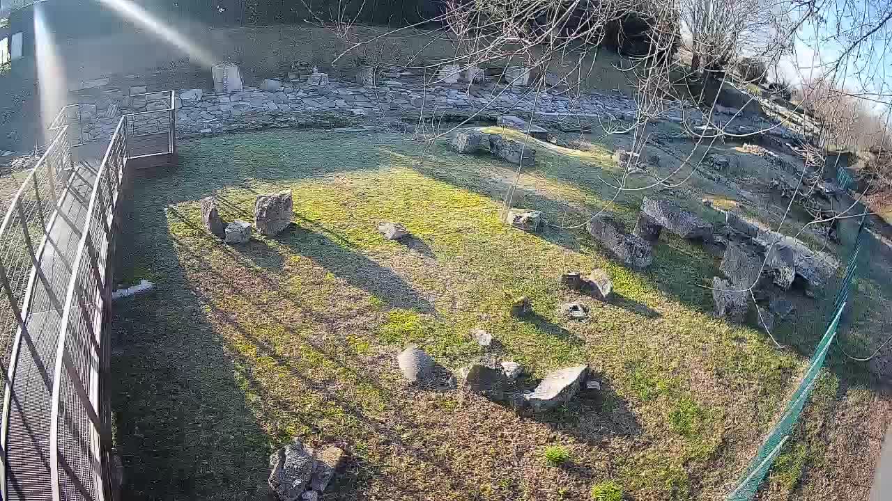 Aquileia – Decumano di Aratria Galla