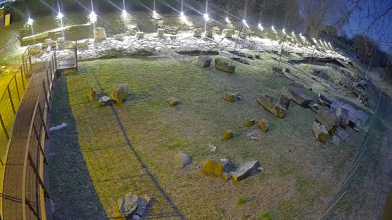 Akvileja – Decumano di Aratria Galla