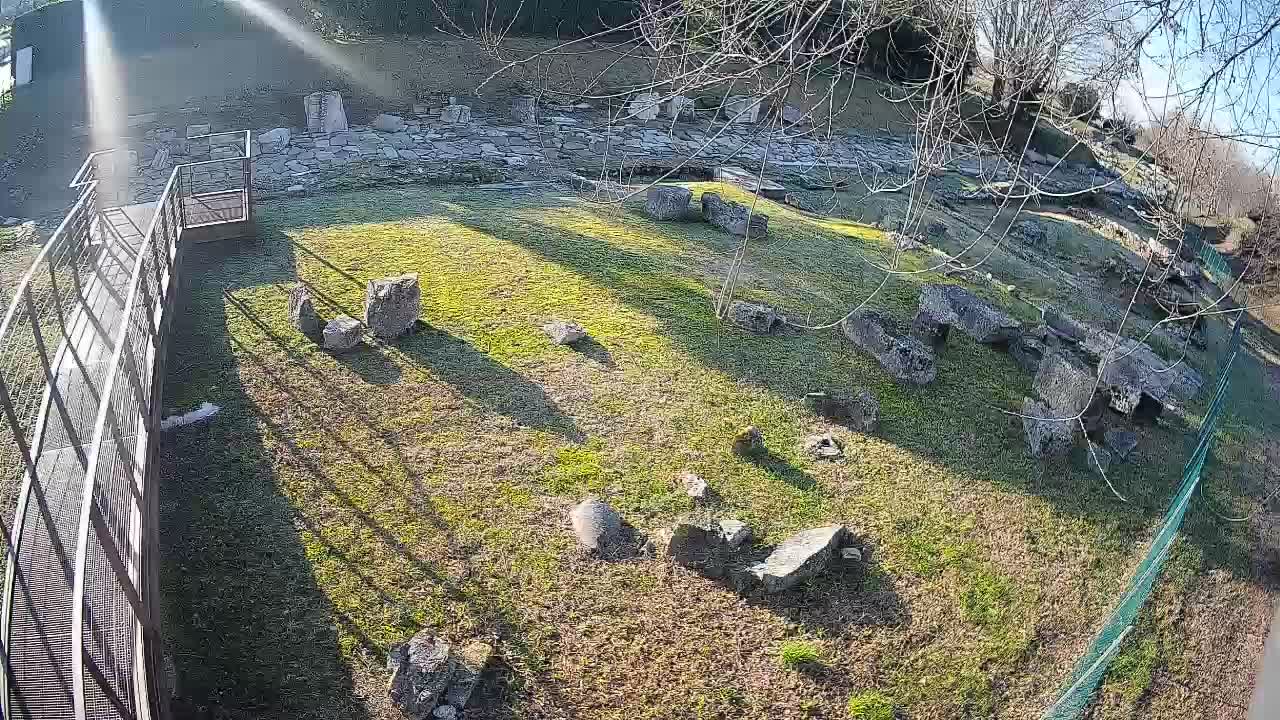 Aquileia – Decumano di Aratria Galla