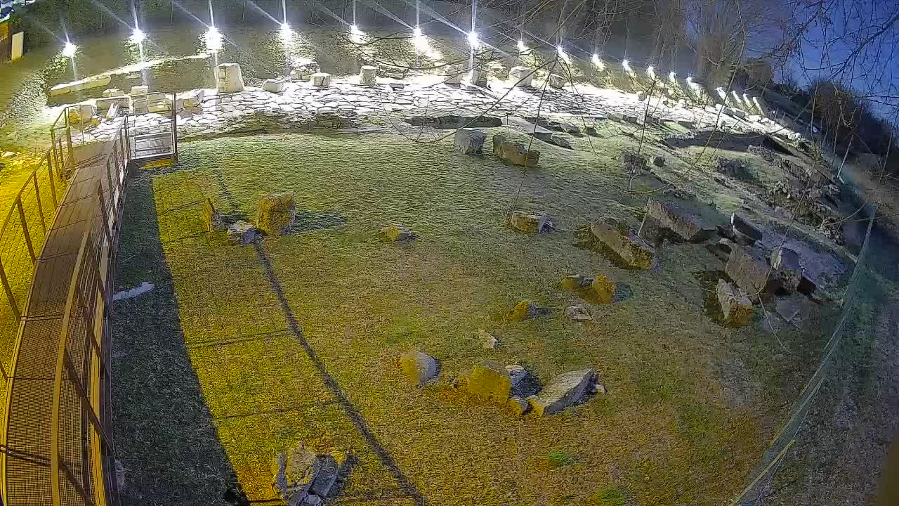 Aquileia – Decumano di Aratria Galla