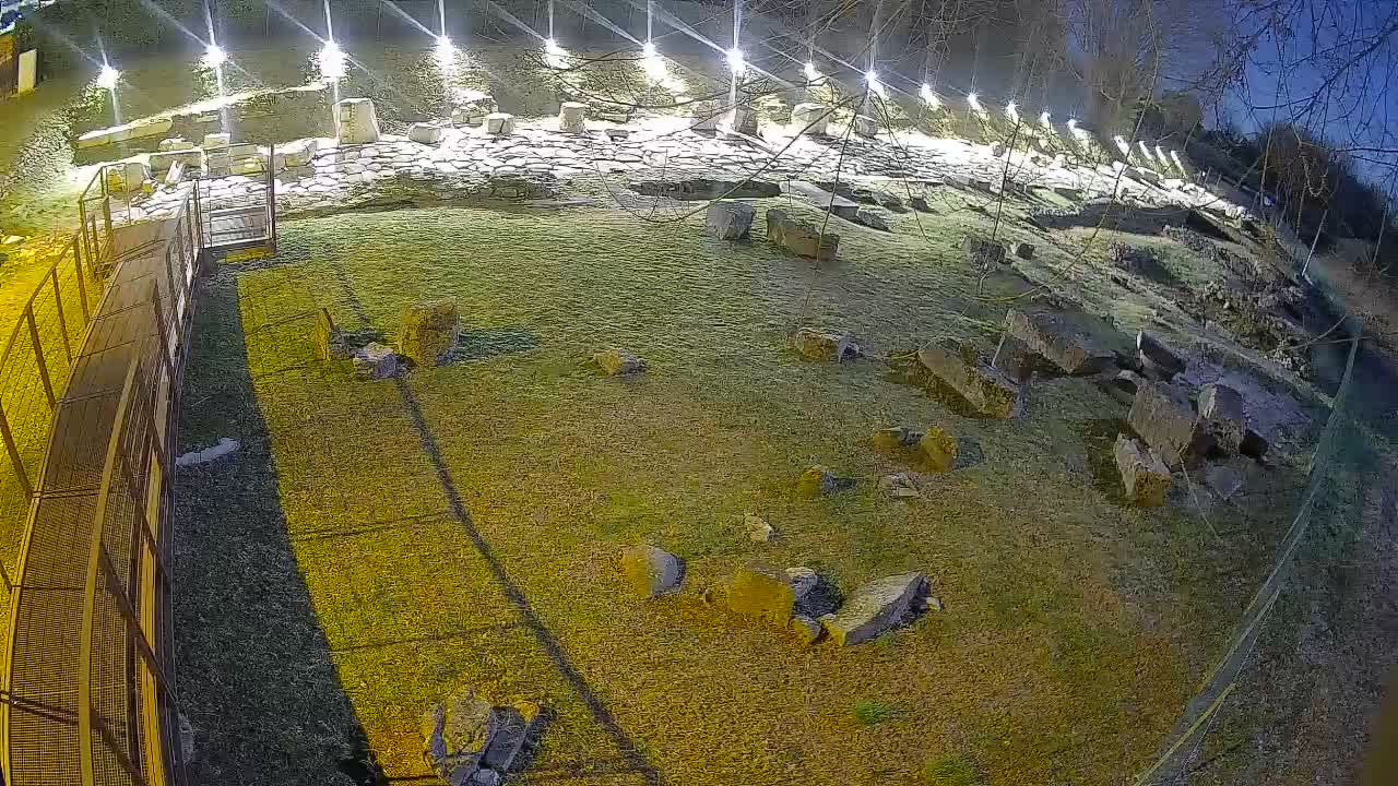 Aquileia – Decumano di Aratria Galla