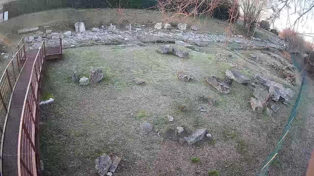 Aquileia – Decumano di Aratria Galla