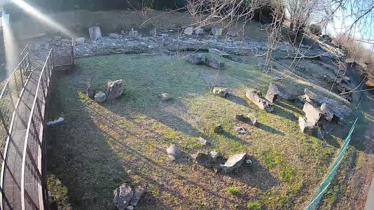 Aquileia – Decumano di Aratria Galla
