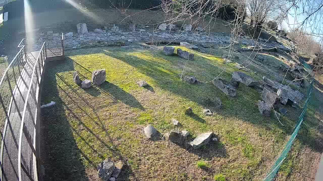 Aquileia – Decumano di Aratria Galla