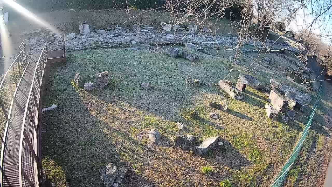 Oglej – Decumano Aratria Galla