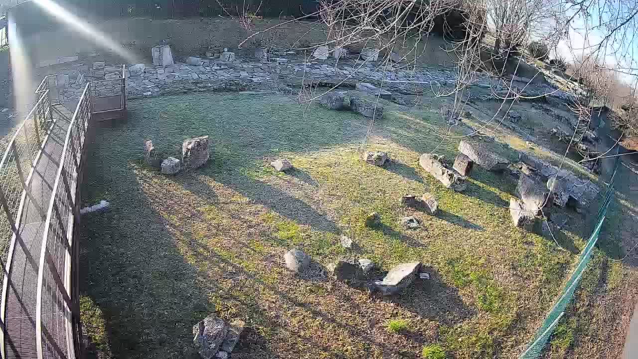 Aquileia – Decumano di Aratria Galla