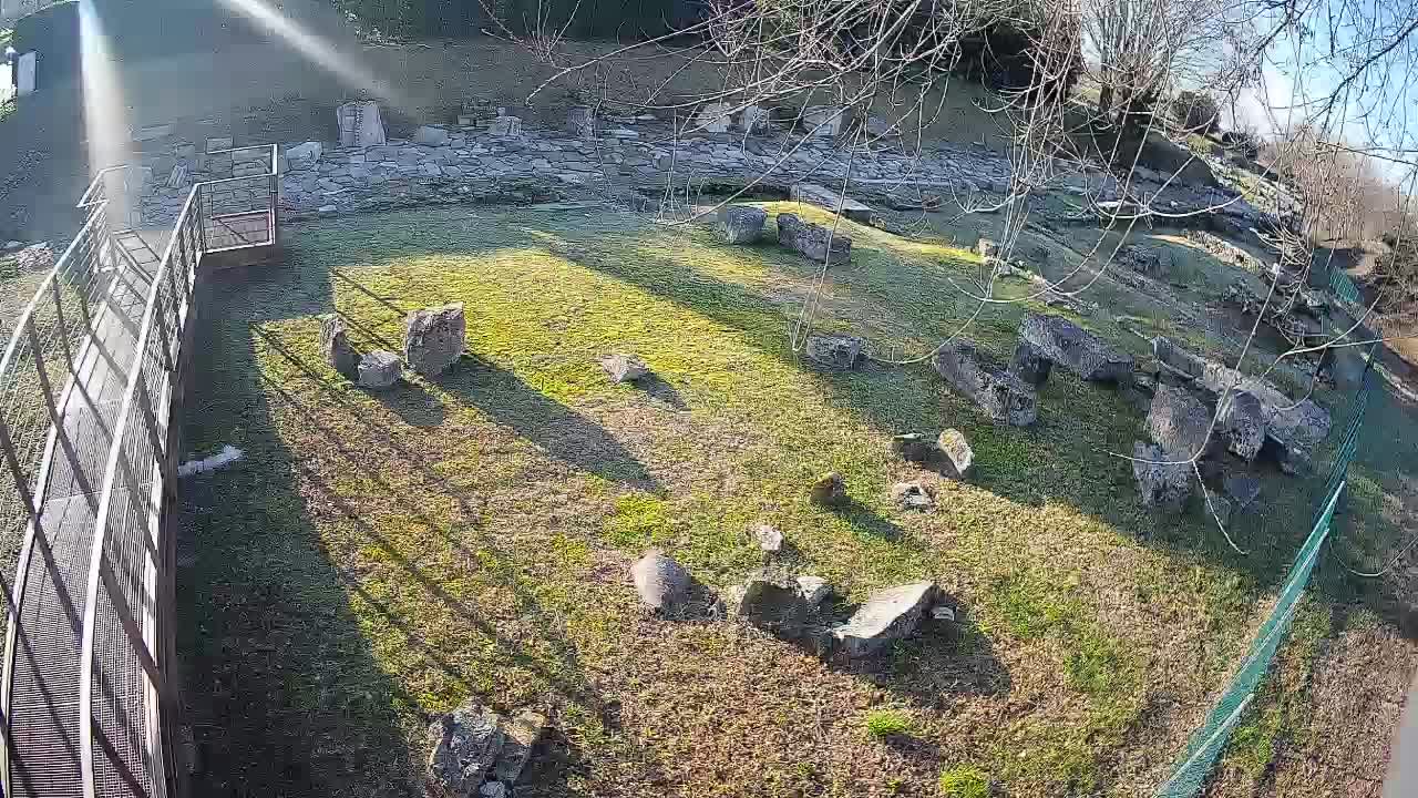 Aquileia – Decumano di Aratria Galla