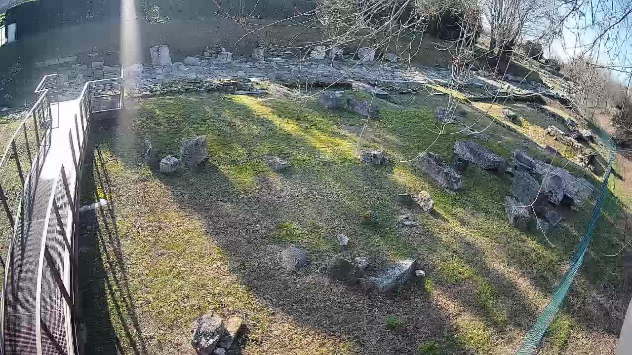 Aquileia – Decumano di Aratria Galla