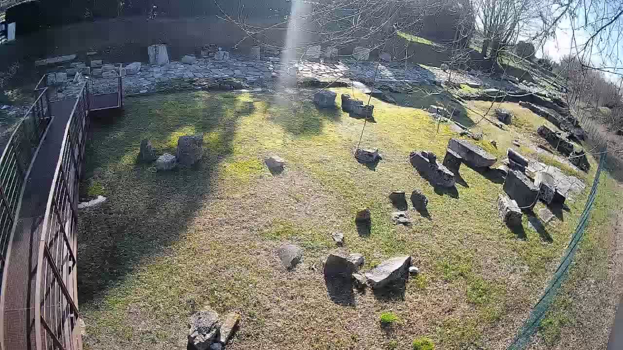 Aquileia – Decumano di Aratria Galla