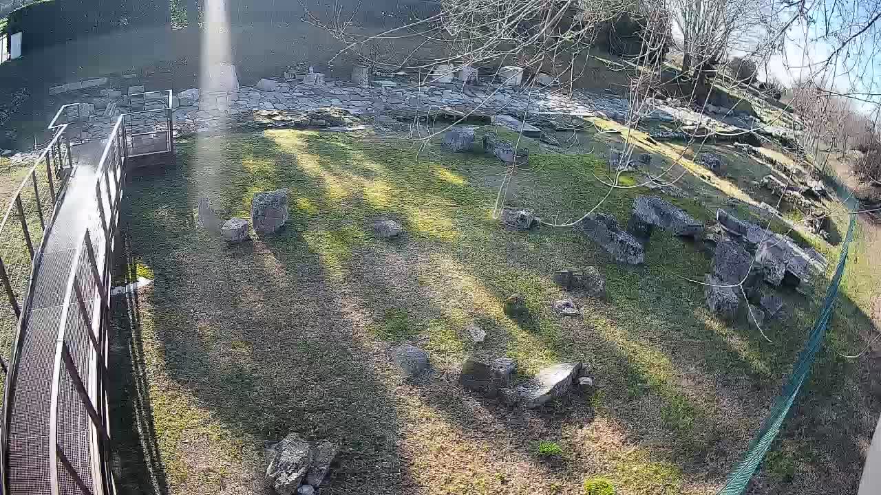 Aquileia – Decumano di Aratria Galla