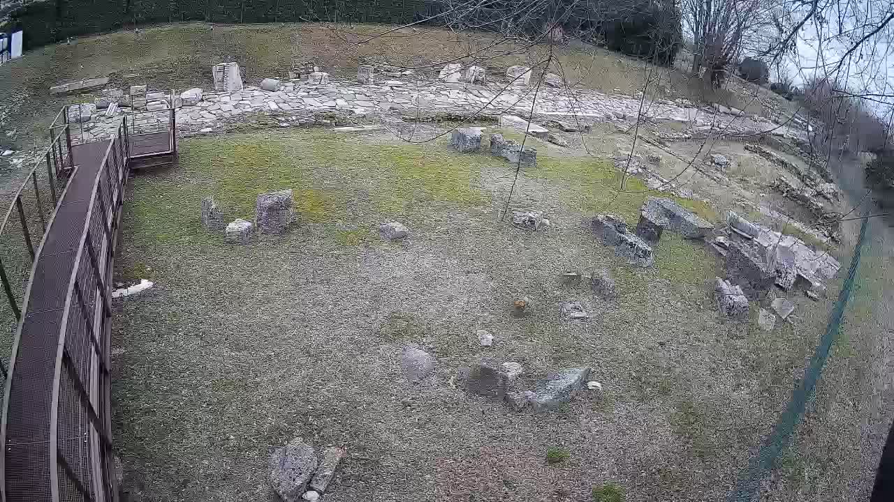 Akvileja – Decumano di Aratria Galla