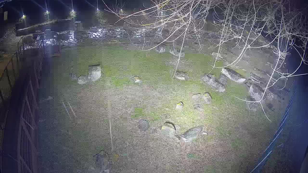 Aquileia – Decumano di Aratria Galla