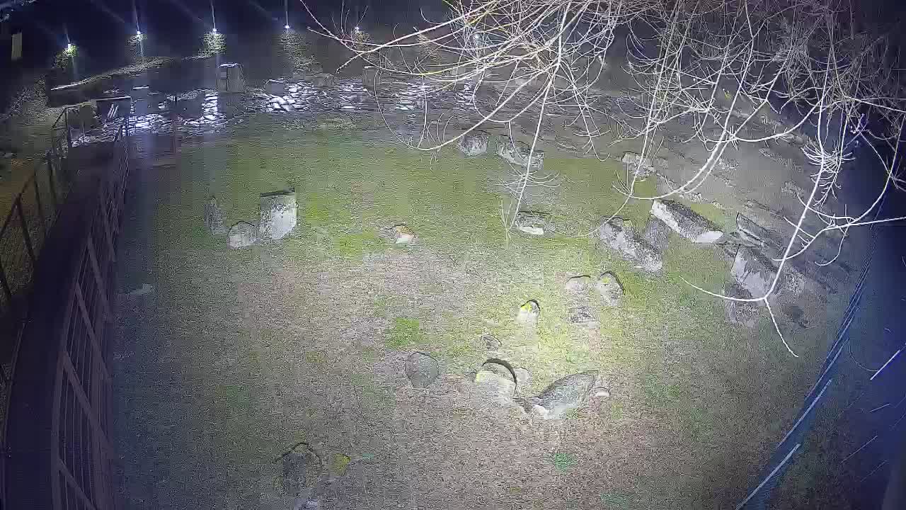 Aquileia – Decumano di Aratria Galla