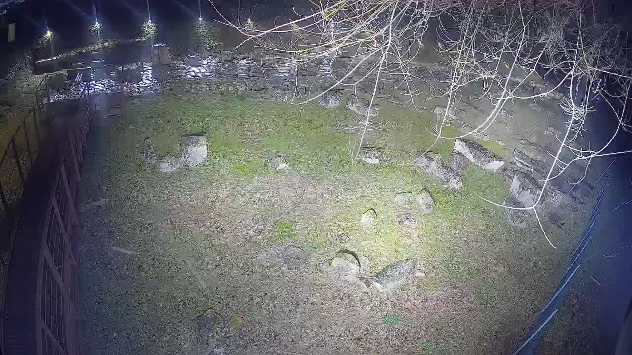 Oglej – Decumano Aratria Galla