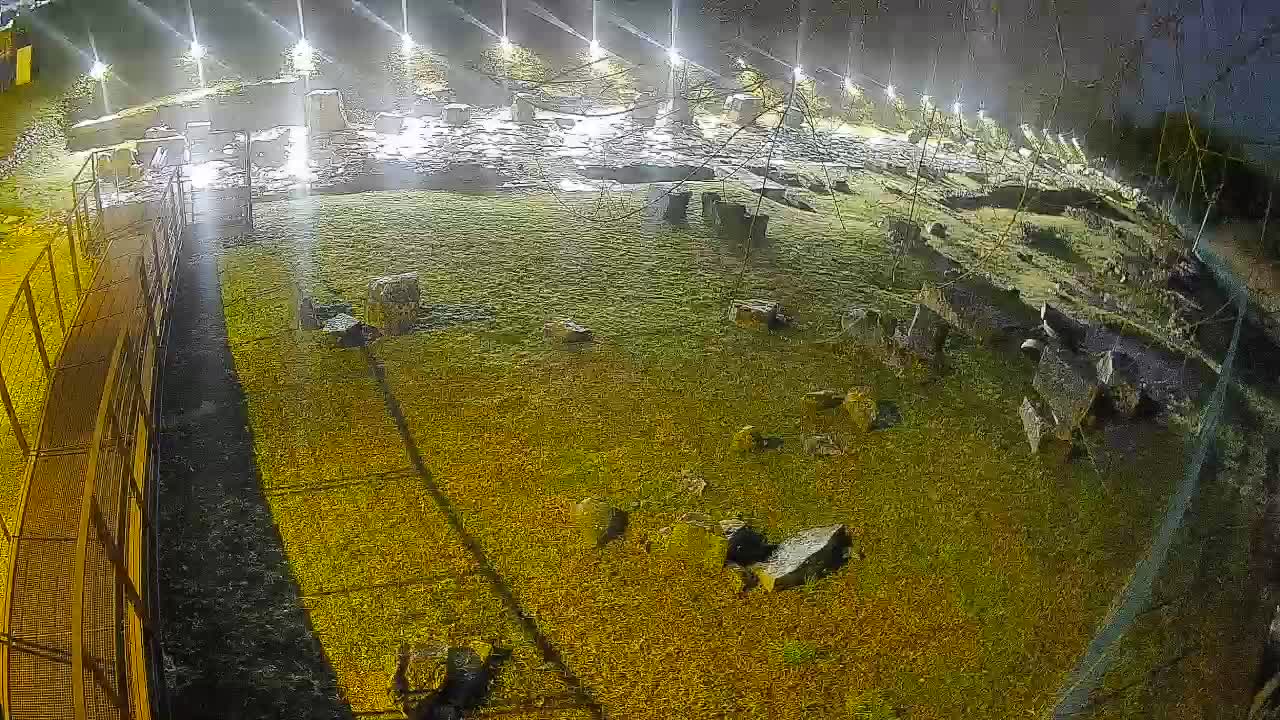 Aquileia – Decumano di Aratria Galla