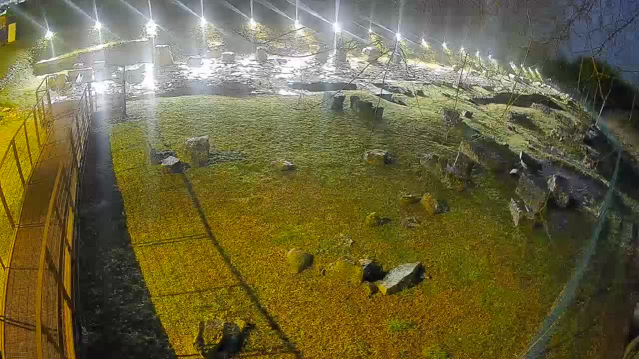 Aquileia – Decumano di Aratria Galla