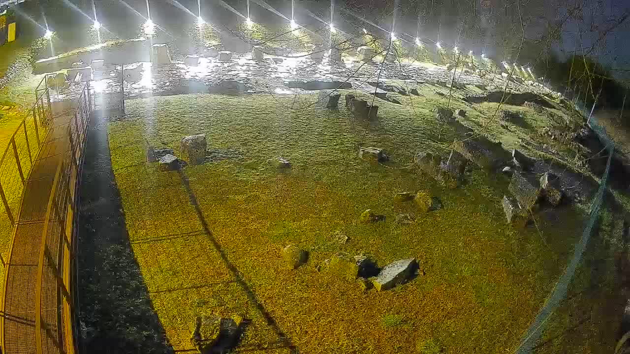 Aquileia – Decumano di Aratria Galla