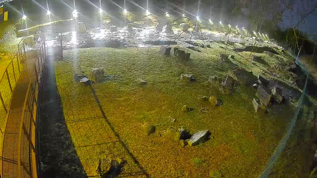 Aquileia – Decumano di Aratria Galla