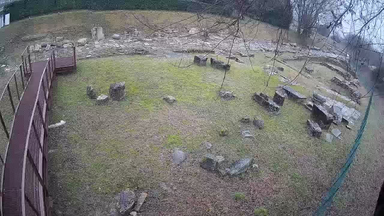 Aquileia – Decumano di Aratria Galla