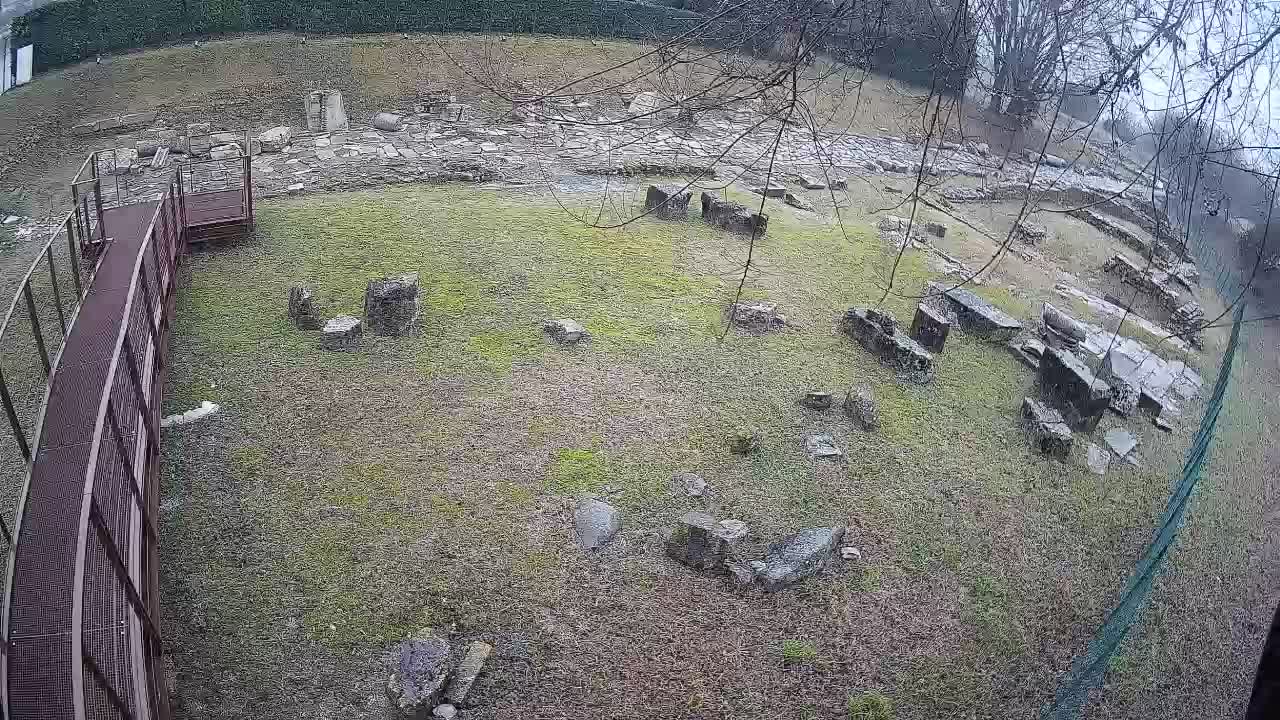 Akvileja – Decumano di Aratria Galla