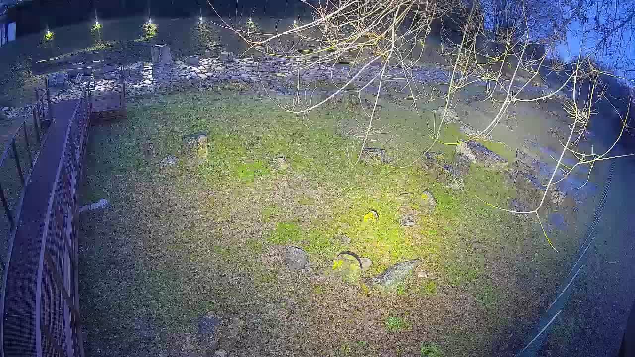 Aquileia – Decumano di Aratria Galla