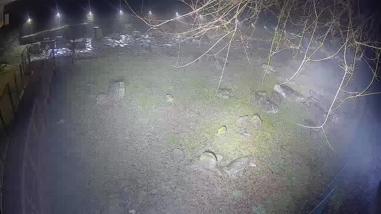 Aquileia – Decumano di Aratria Galla